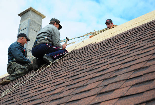 Best Roof Maintenance Services  in Teaticket, MA